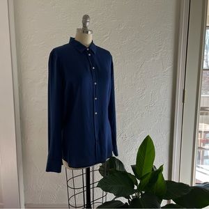 Everlane Blue Silk Blouse